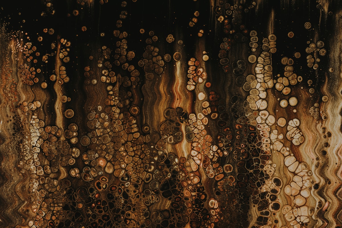 Field Note 118.1: The Staircase That Water Built